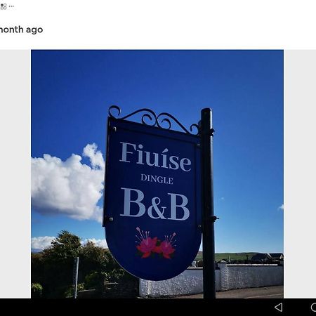 Fiuise B&B Dingle Ngoại thất bức ảnh