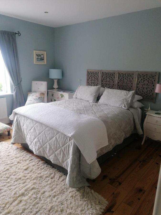 Fiuise B&B Dingle Ngoại thất bức ảnh