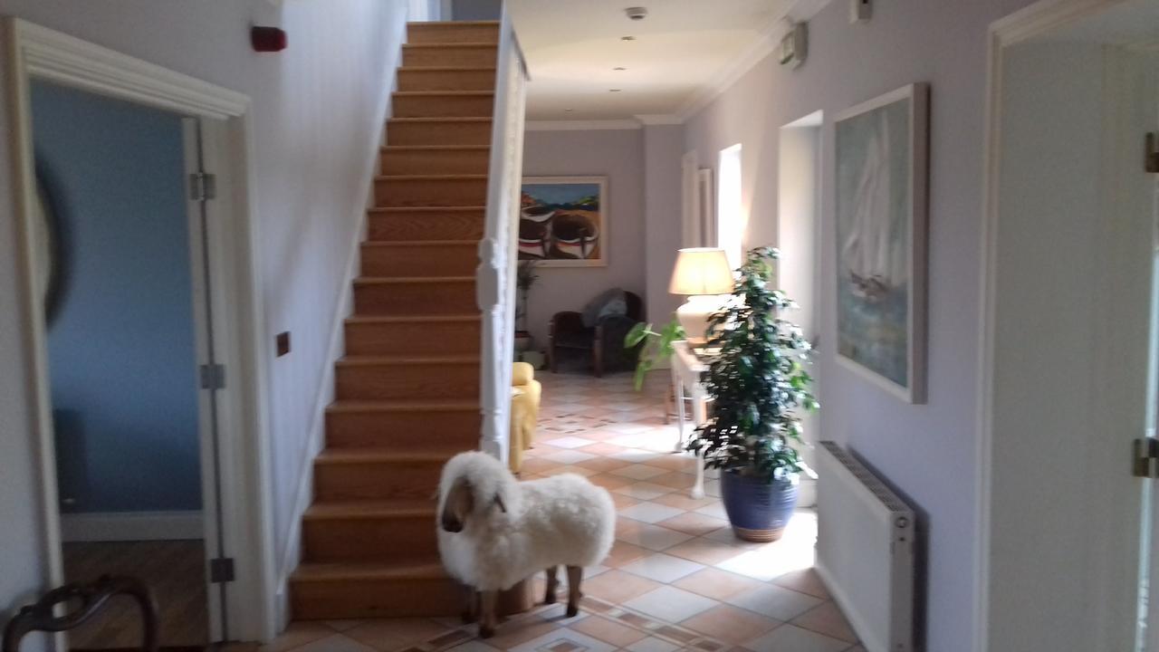 Fiuise B&B Dingle Ngoại thất bức ảnh